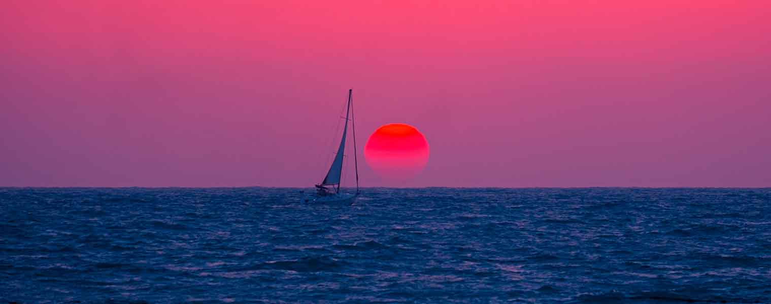 Trilogy Group Sales Banner